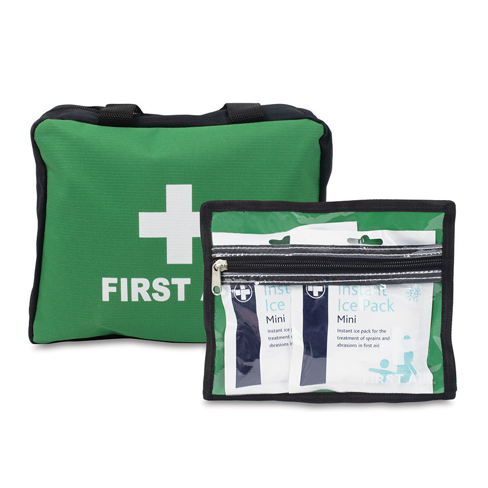 Lewis-Plast Premium All Purpose 160 Piece First Aid Kit
